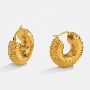 Lightweight cult gaia 14k Gold plated Earrings Elegant Chunky Hoops